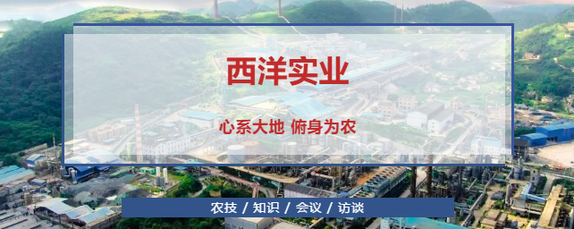 【2021對話西洋】賈總：強化人才支撐 ,驅動創新發展,打造生態西洋！