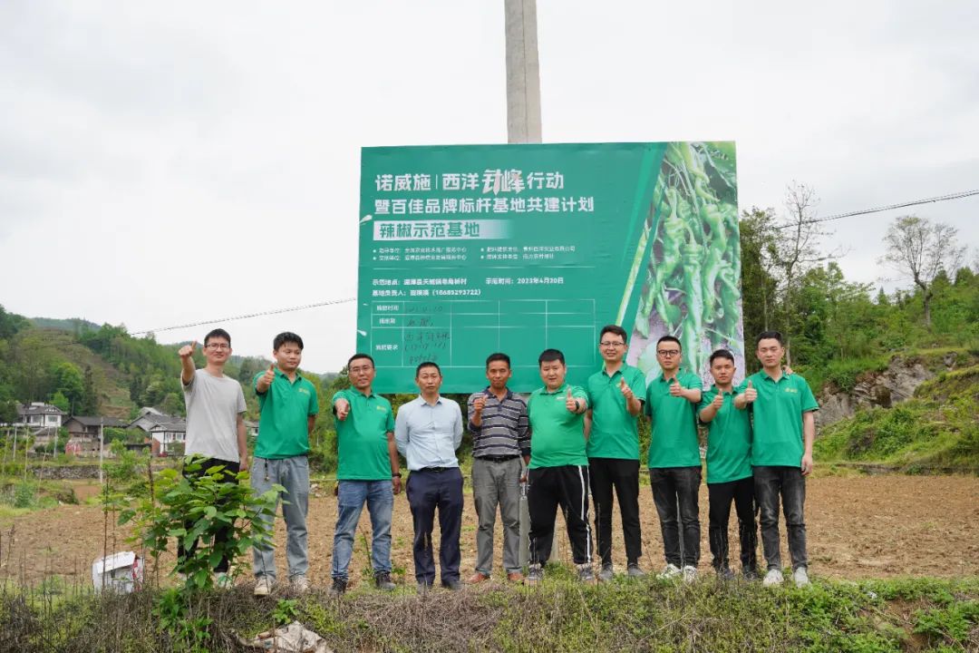 “針鋒”行動遇上湄潭辣椒,種植戶盼上了火辣辣的豐收日子