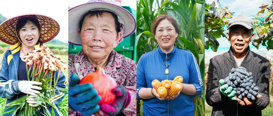 共慶華誕 賦能豐收｜西洋實業(yè)獻禮祖國75周年